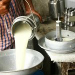 Milk