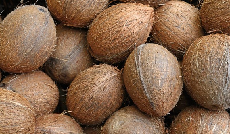 coconut 2 e1584714459632