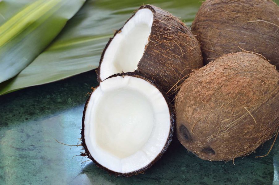 coconut 3