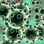 corona virus 8