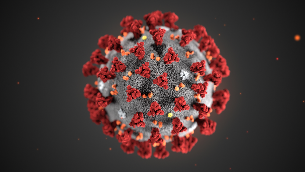 coronavirus 1