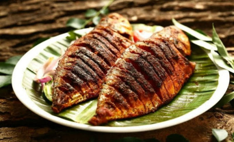 fish 3