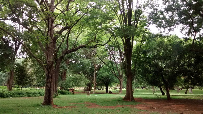 lalbagh 34