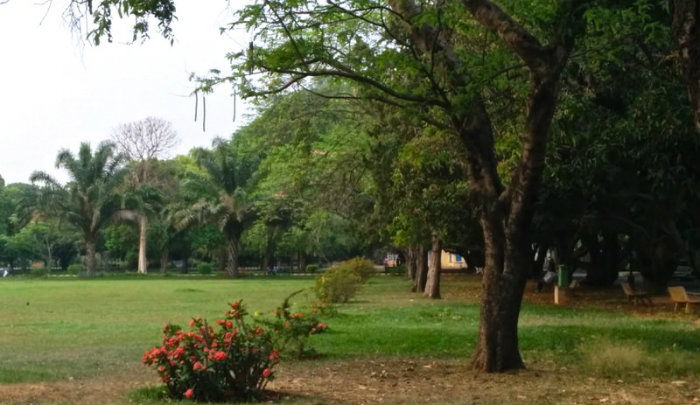 lalbagh grassy