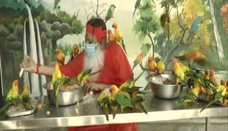 mys swamiji parrot 1