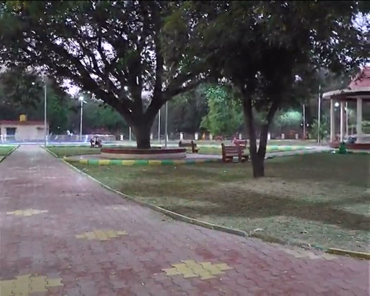 park
