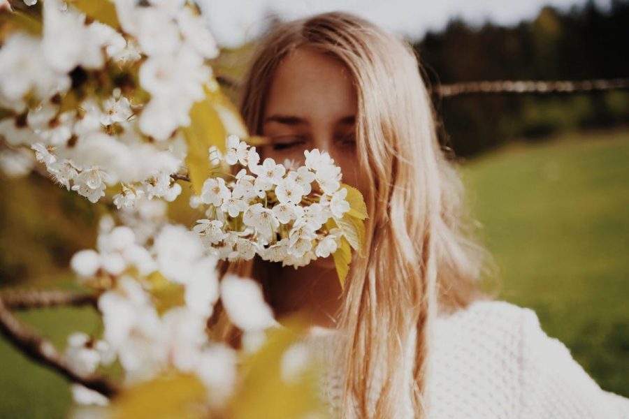 smell