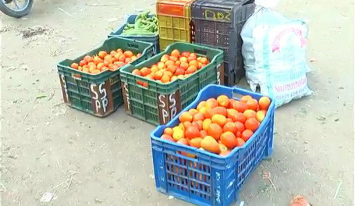 tomato