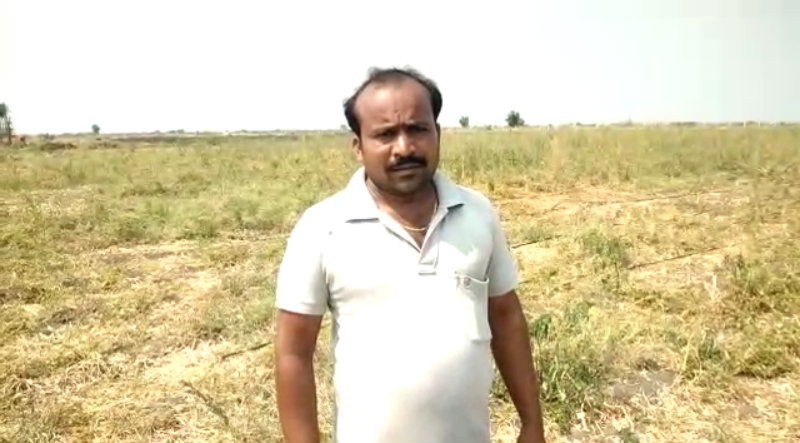 Bellary Onion 2