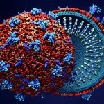 Corona Virus New