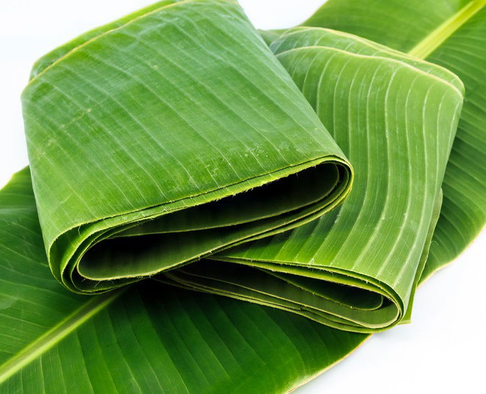 Indian Natural Fresh Banana Leaves