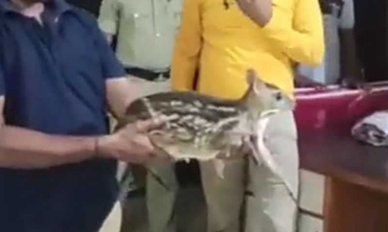 Karwar Deer Police
