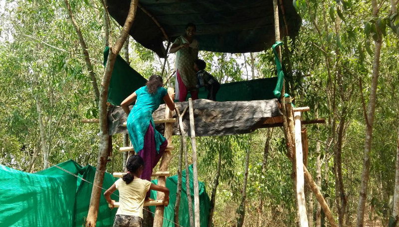 MNG TREE HOUSE 1