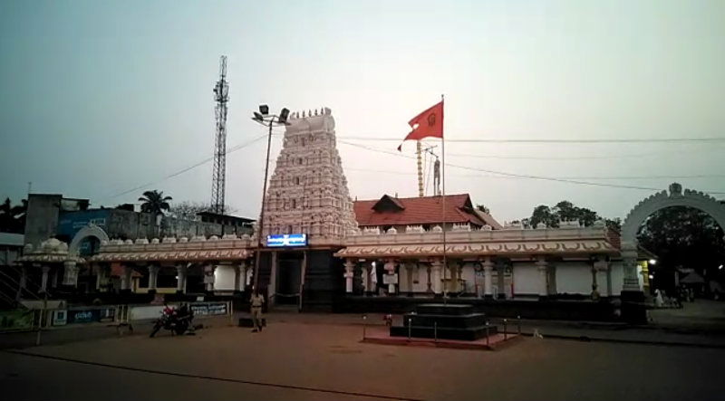 MNG Pavada B