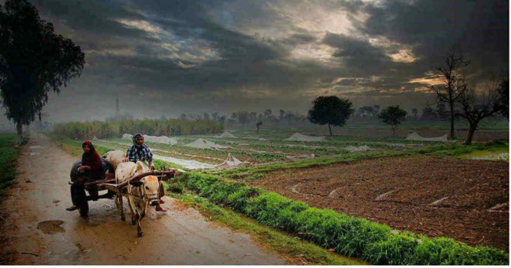 Rain in Uttar Pradesh3 3