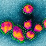 coronavirus 1