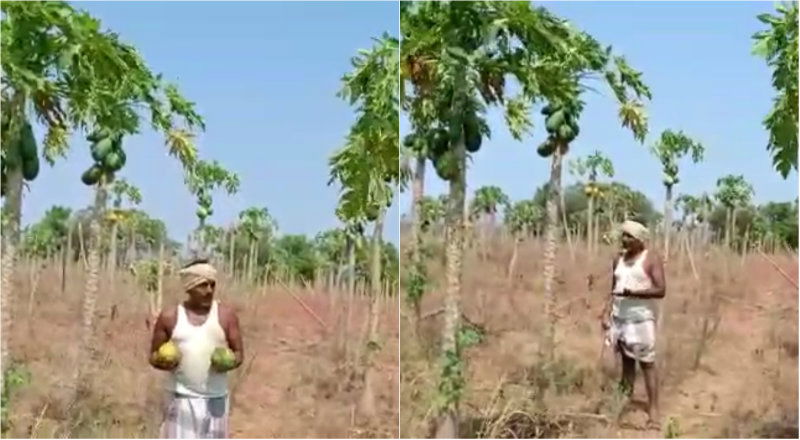 hvr farmer 1