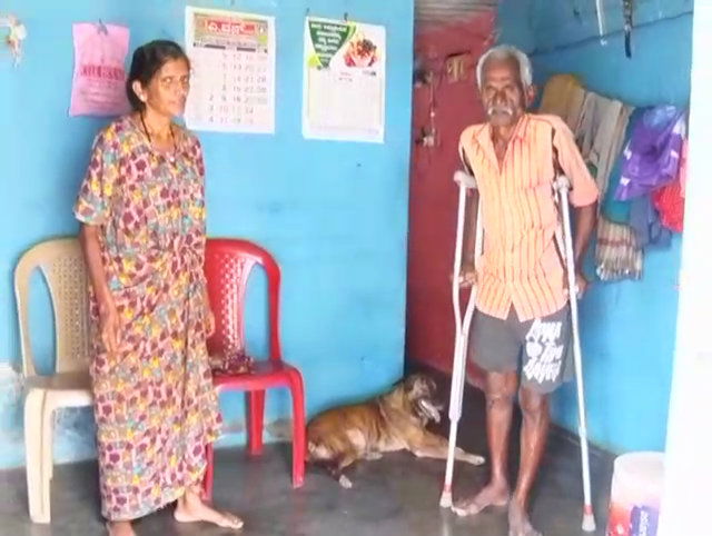 mdk old couple 1