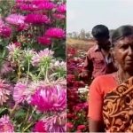 nml farmer