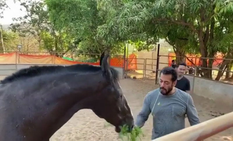 salmaan khan 2