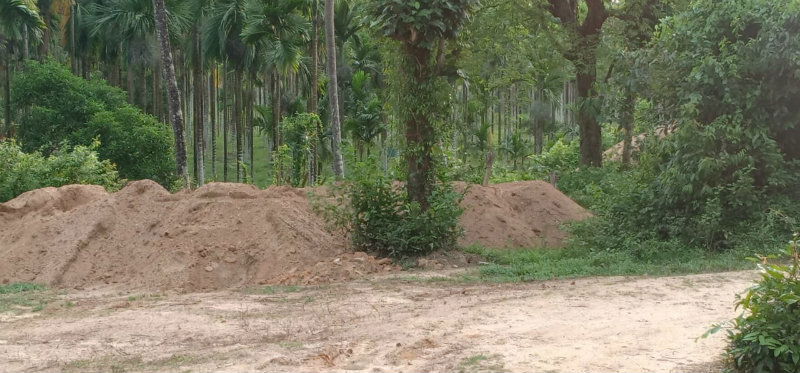 UDP SAND 1