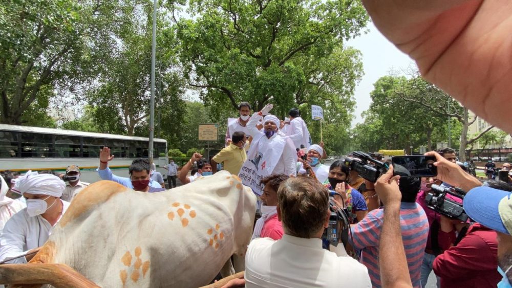 Congress Protest Petrol Hike 7