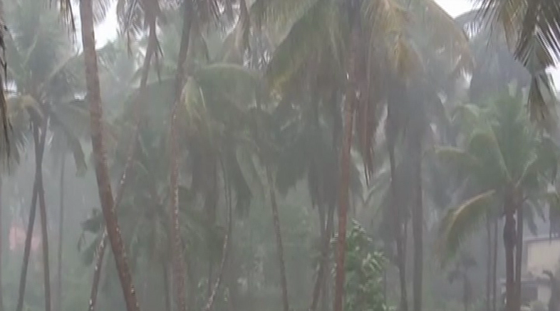 Cyclone 4