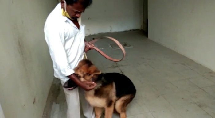 DOG 2