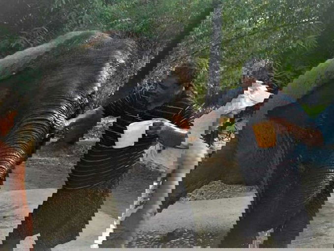 EaIvegqUwAAY w