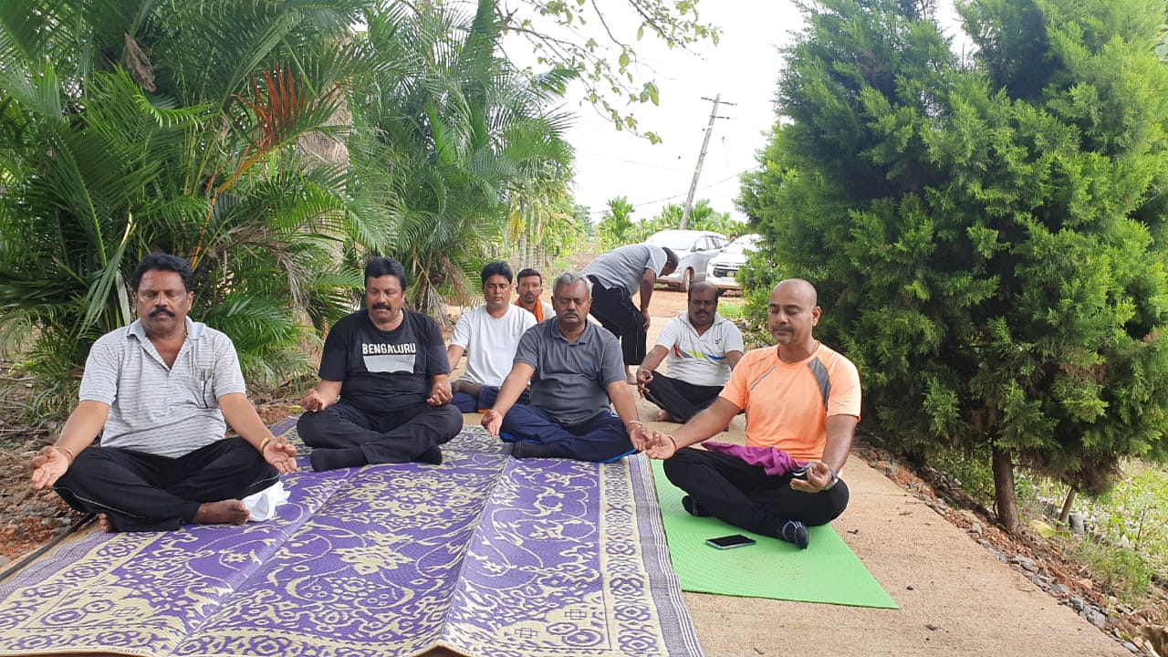 HVR YOGA 2