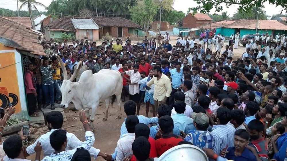 MYS Darshan basava 1