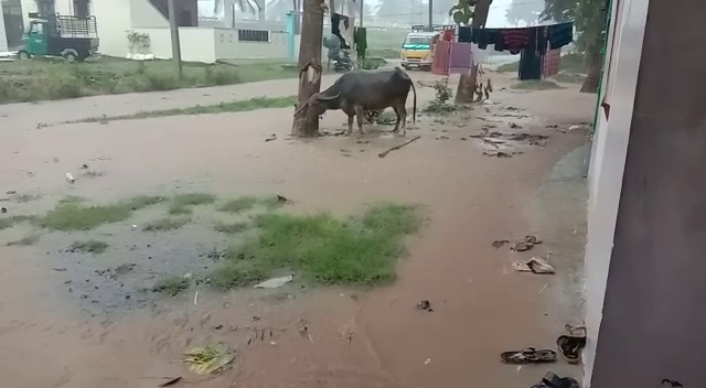 RAIN 4 2