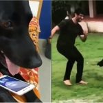 Sushant Singh Rajput Dog