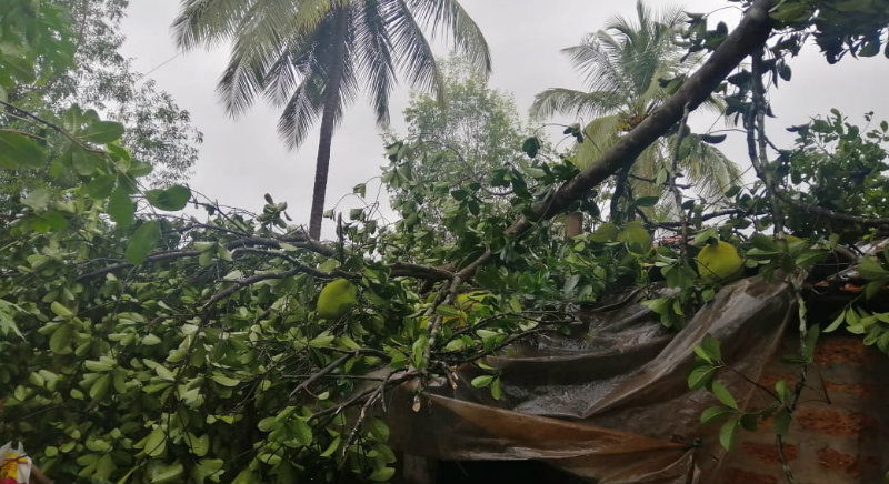 Udupi Rain 3