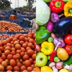 VEGITABLE