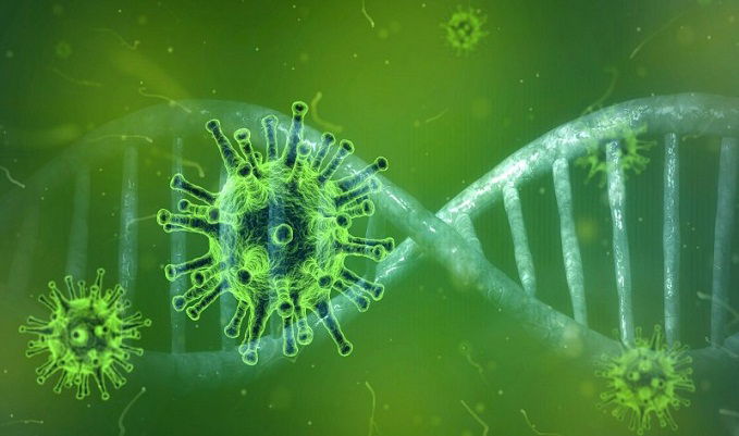 coronavirus 4833754 1920 1