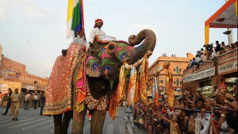 en in elephant1 0