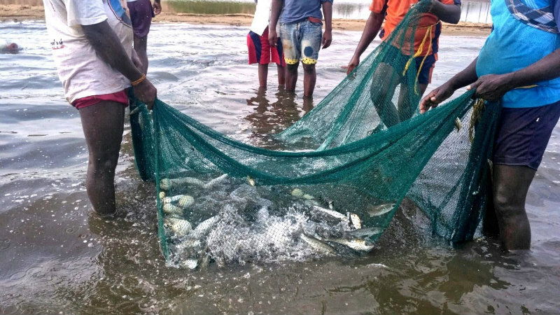 fishing