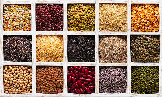 grains beans nuts