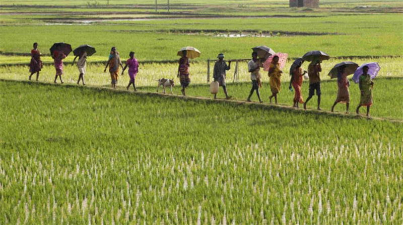 land reform