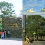 mys zoo bandipur safari