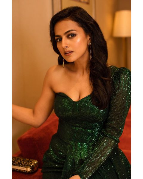 shraddhasrinath 90049919 1288761114847520 4197687224898524385 n