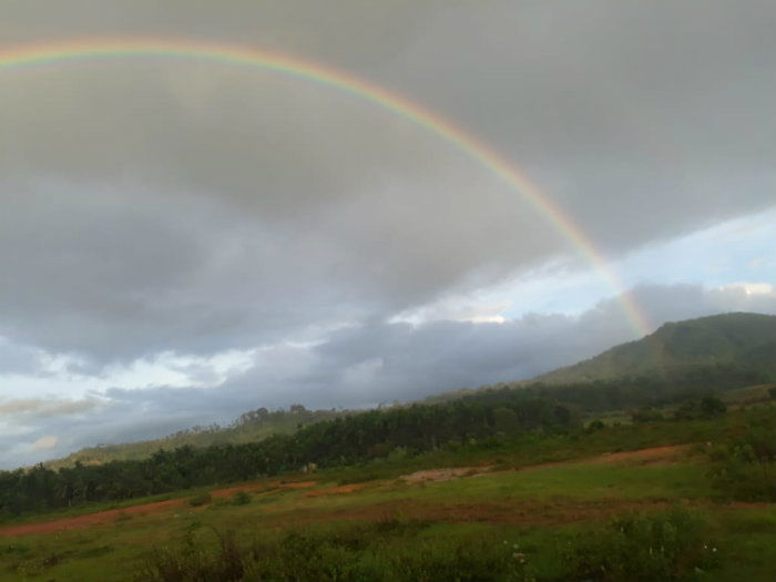 CKM Rainbow 1