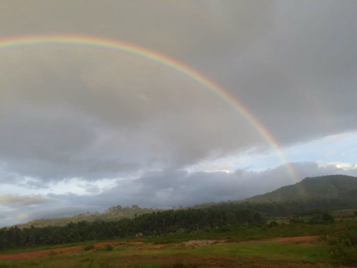 CKM Rainbow 3