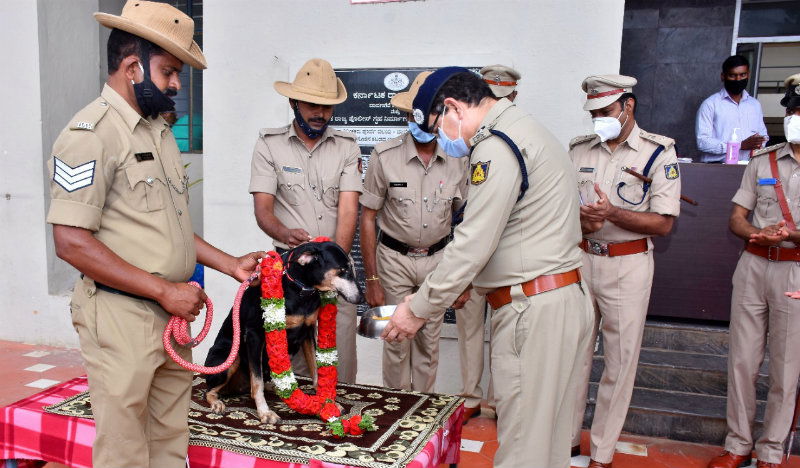 Davangere Police Dog