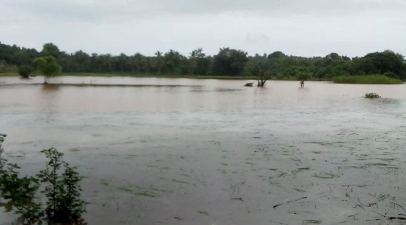 Mangaluru Rain 2