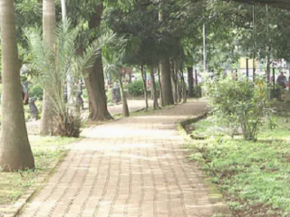 PARK 3