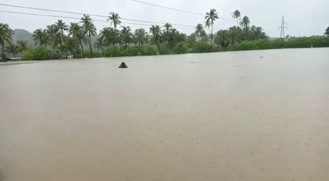 RAIN 11
