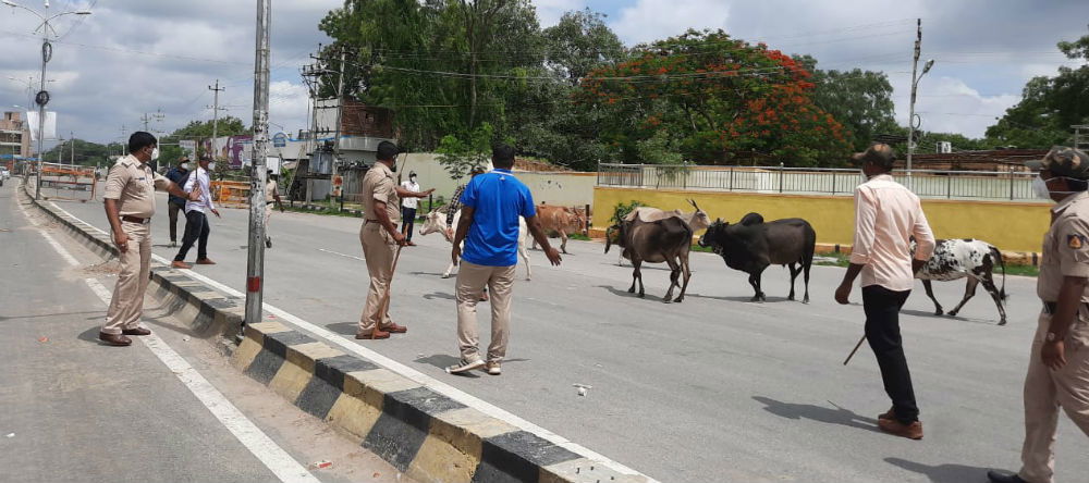 RCR POLICE 2