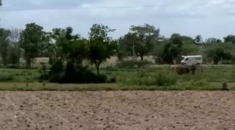 Raichur 2